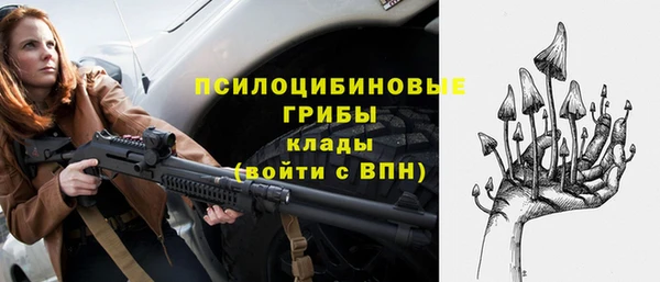 стафф Алзамай