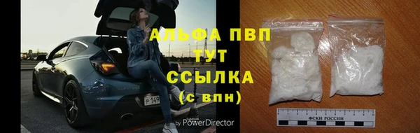 стафф Алзамай