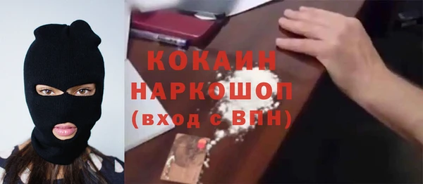 стафф Алзамай