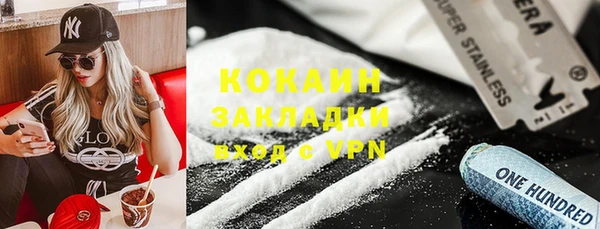 стафф Алзамай