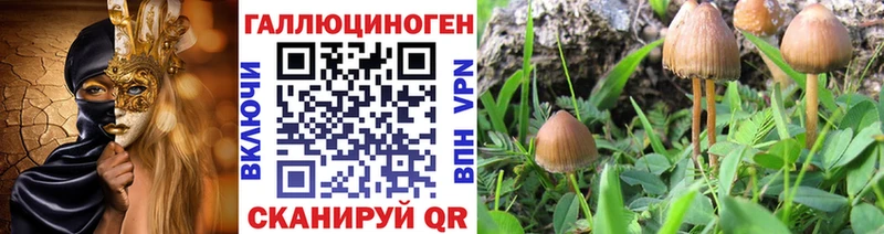 хочу наркоту  darknet формула  Псилоцибиновые грибы мухоморы  Игра  гидра вход 